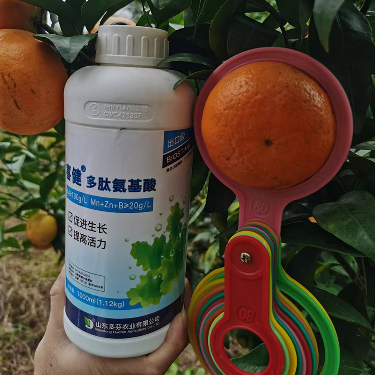 Amino acid containing water-soluble fertilizer manufacturer foliar fertilizer Peptide amino acid citrus fertilizer