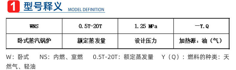 Gas condensing boiler, commercial vacuum hot water boiler, integrated steam generator, low nitrogen electric boiler