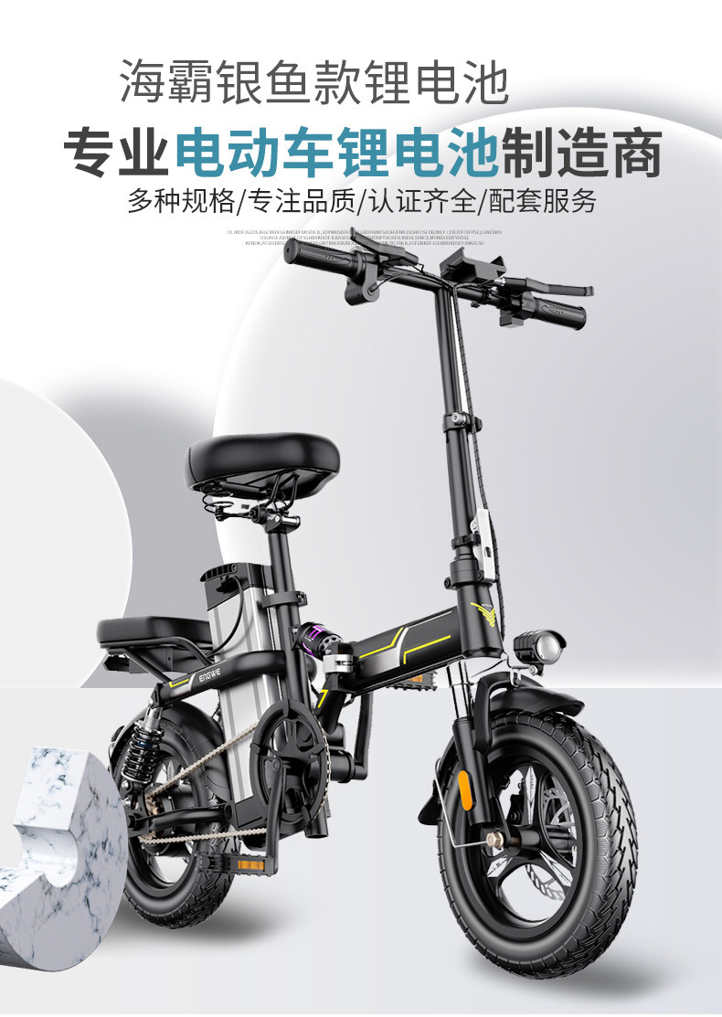 Bicycle Kart racing Lithium Battery Silver Fish Haiba Generation Electric Folding bicycle Battery 36V48V Full Capacity 20Ah