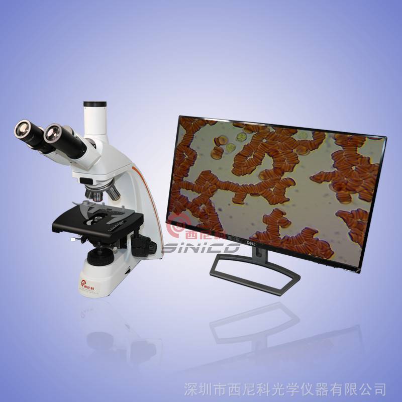 检验科/高级教学显微镜 1600倍可摄影实验研究可配荧光分析用