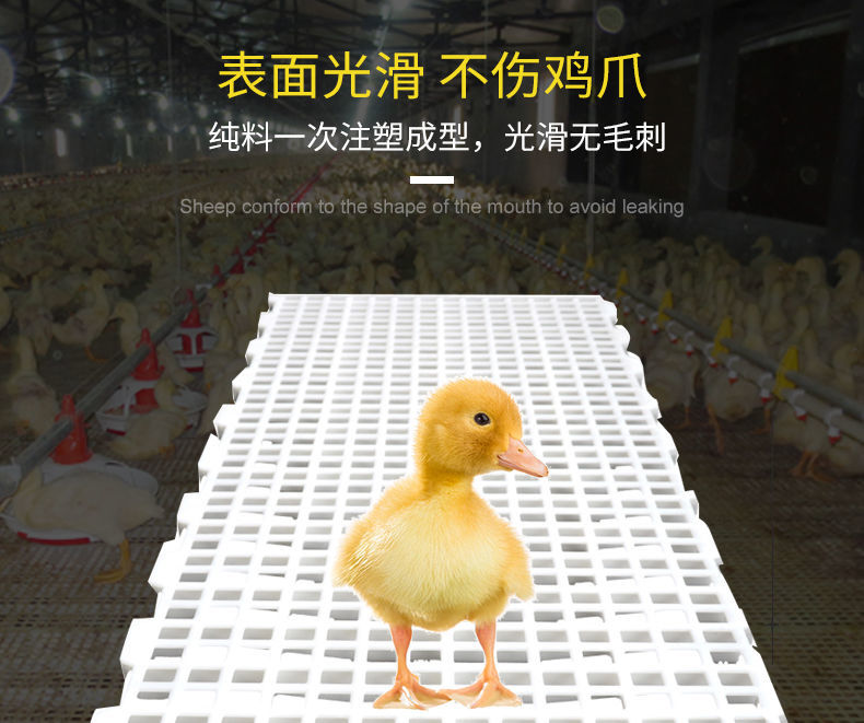 Yumu chicken manure leakage plate, duck and goose poultry thickened plastic manure plate equipment, chicken coop breeding equipment