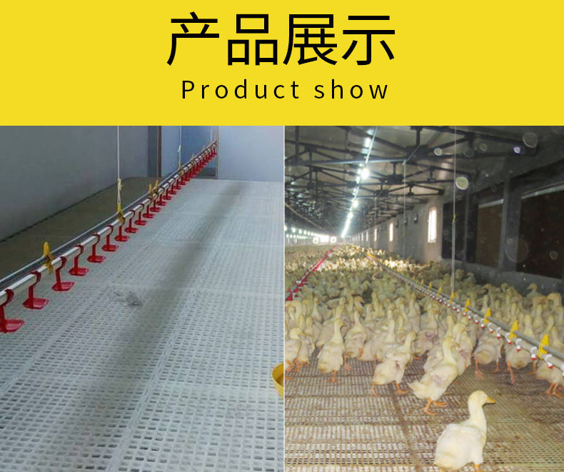 Yumu chicken manure leakage plate, duck and goose poultry thickened plastic manure plate equipment, chicken coop breeding equipment