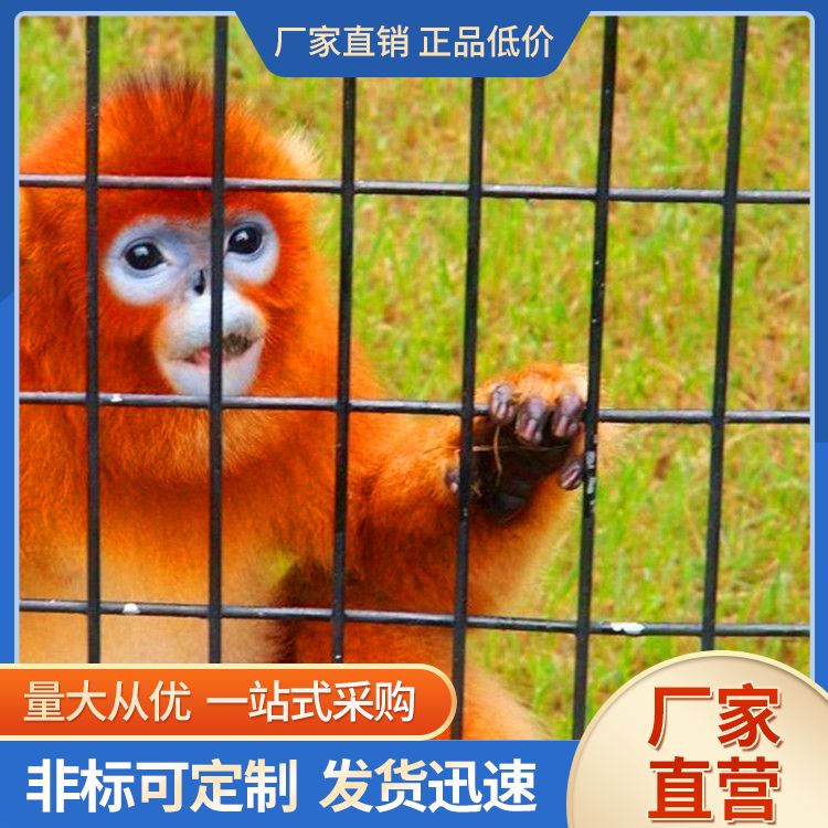 Lion and Tiger Cage Zoo seine wholesale with decades of production experience, guaranteed quality, cost-effective selection