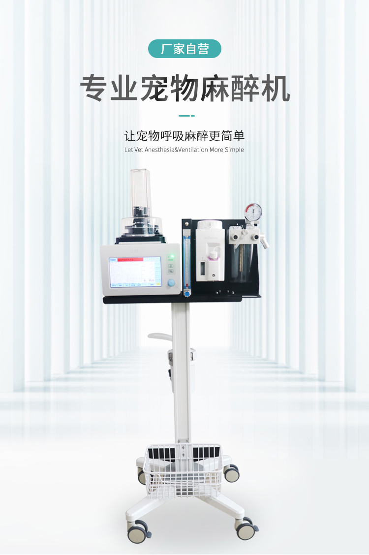 Pet clinic anesthesia machine equipment, domestic animal laboratory anesthesia general equipment manufacturer intelligent display