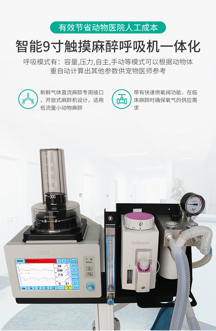 Pet clinic anesthesia machine equipment, domestic animal laboratory anesthesia general equipment manufacturer intelligent display