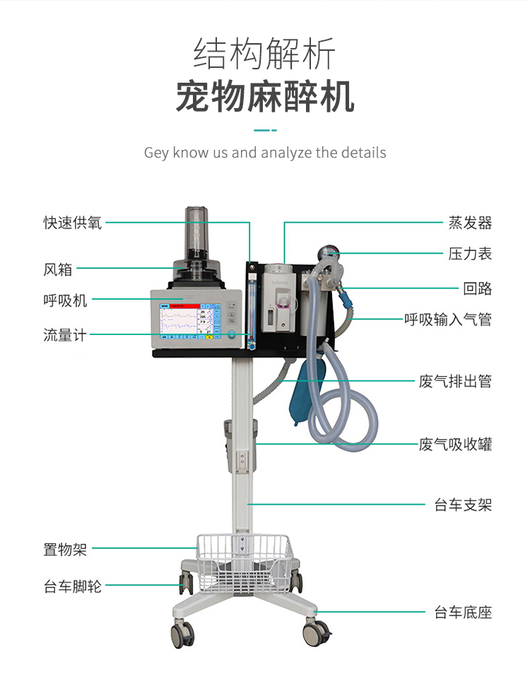 Pet clinic anesthesia machine equipment, domestic animal laboratory anesthesia general equipment manufacturer intelligent display