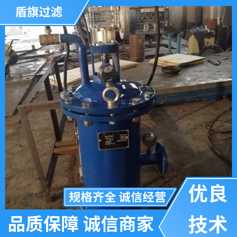 盾旗过滤 保质保量 刮刀自清洗过滤器订做 耐高压腐蚀 开拓创新