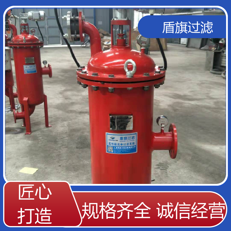 盾旗过滤 源头厂家 y型自清洗过滤器 性能稳定 开拓创新