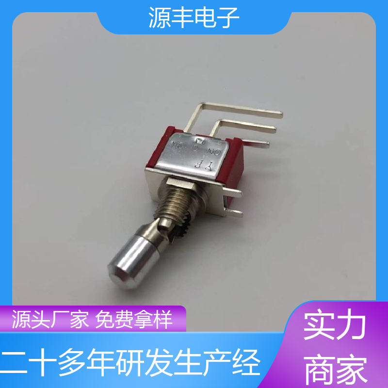 源丰电子 汽车电路保护 拨动开关 外观独特 多型号满足您的需求