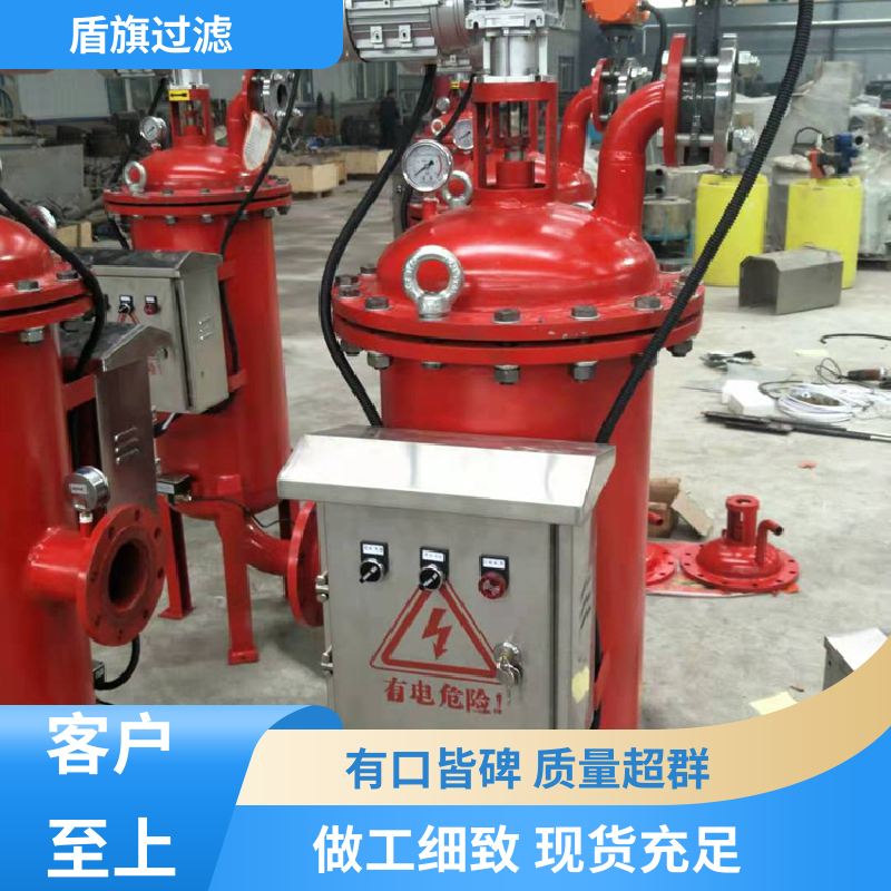 加工制作 y型自清洗过滤器订做 便捷安全 多年经验 盾旗过滤