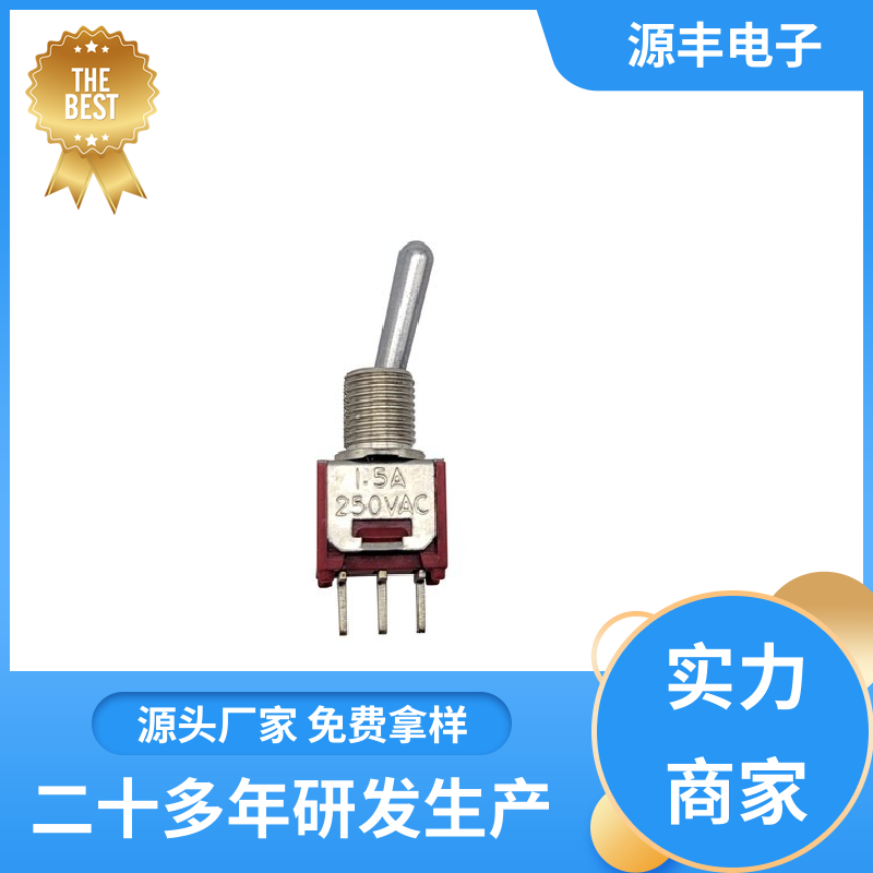 家用电器 钮子开关 体积较小 支持定制定做 源丰电子