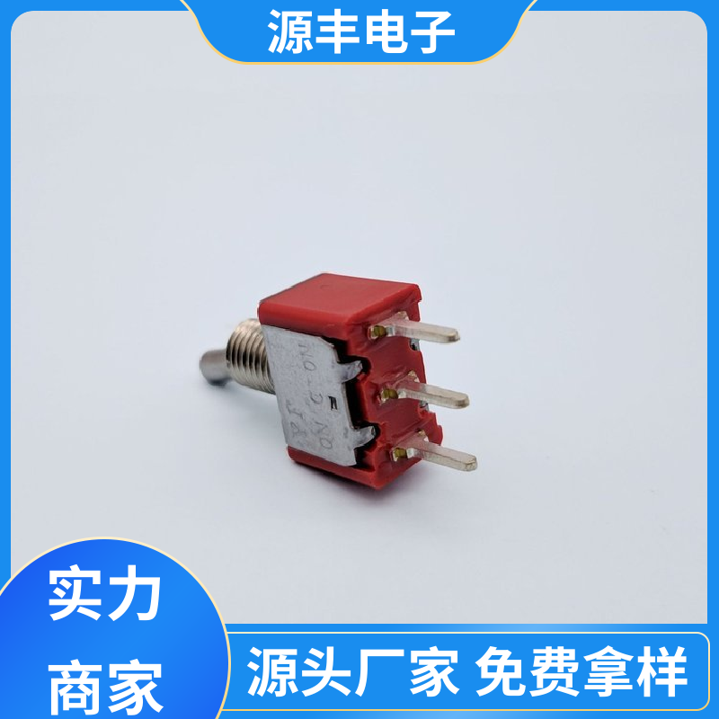 源丰电子 电气设备 防水开关 外观独特 多型号满足您的需求