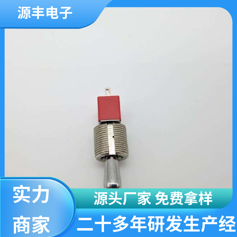 源丰电子 电气信号装置 摇头开关 外观独特 多型号满足您的需求