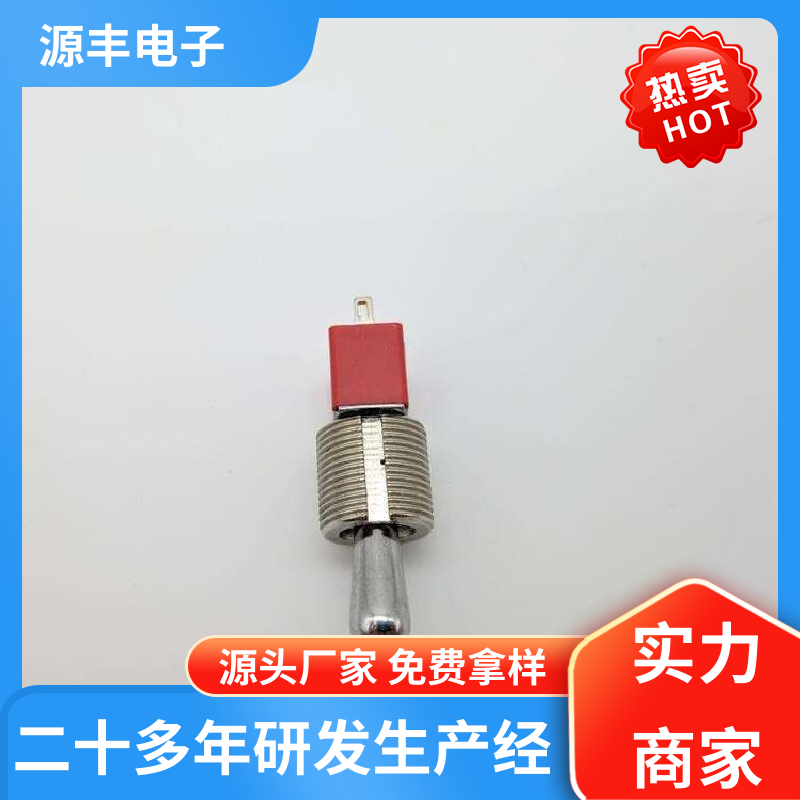 源丰电子 汽车电路保护 拨动开关 使用领域广 多型号满足您的需求