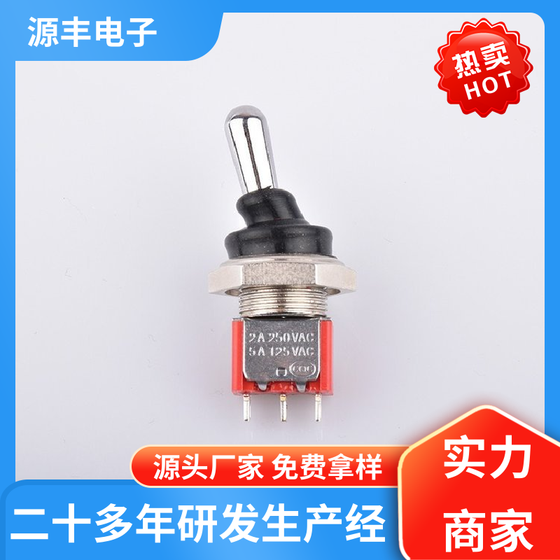 源丰电子 家用电器 钮子开关 防水防尘 支持定制定做