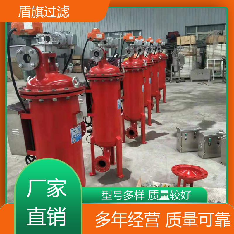 盾旗过滤 诚信经营 刮刀自清洗过滤器订做 安全环保 品质可靠