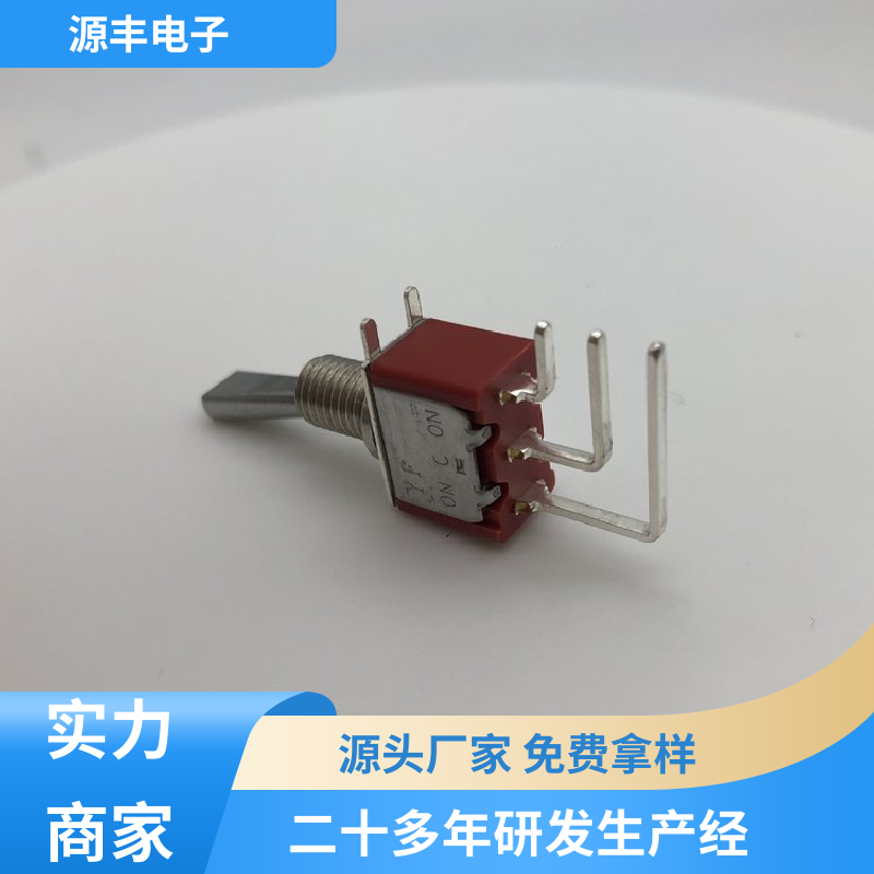 源丰电子 汽车电路保护 拨动开关 防水防尘 多型号满足您的需求