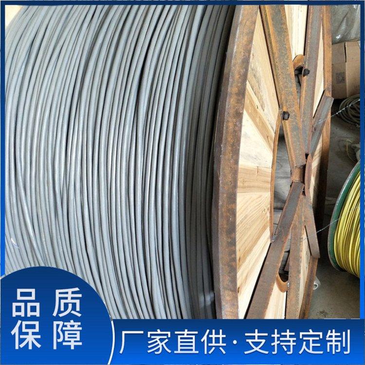 ASTP-120 1*2*16AWG铠装屏蔽电缆 多股镀锡电解铜丝绞合