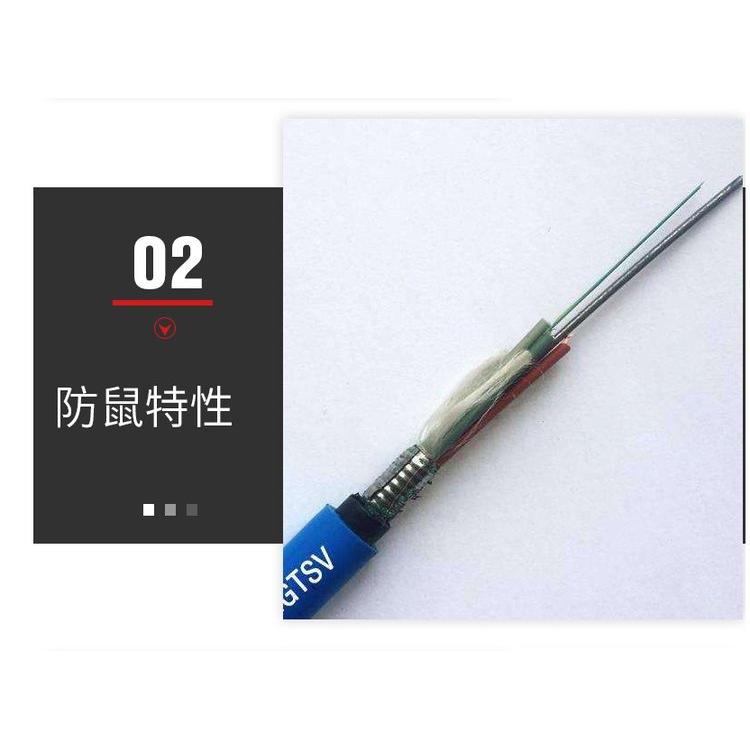 MGTS33-24B 24芯矿用钢丝铠装光缆 阻燃防爆耐拉力