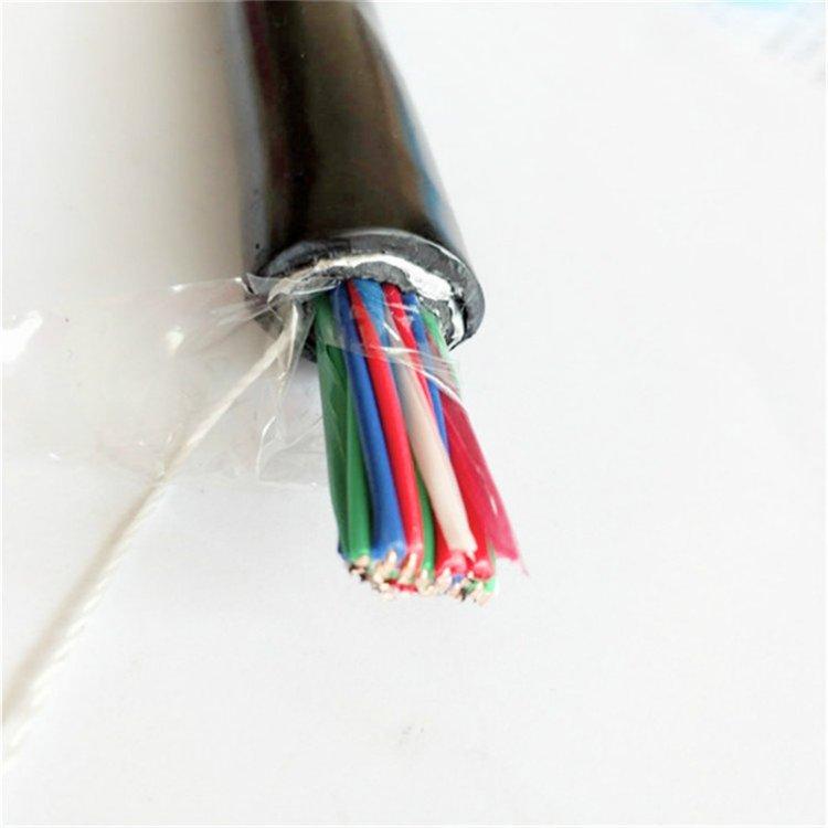 PTYA23-14*1.0mmPTYA23铁路信号电缆 耐塞护线套