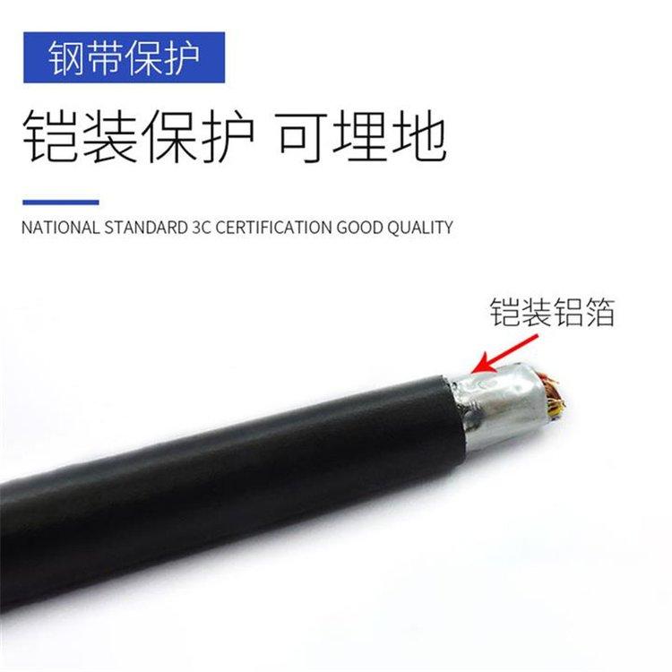 HYVP-20*2*0.5mmHYVP屏蔽市内通信电缆 铜芯实心聚烯烃绝缘