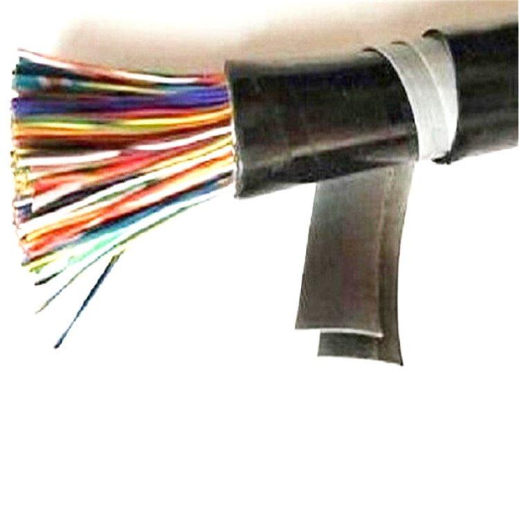 HYA53 100*2*0.5 通信电缆 二根对称排列的导线组成通信回路