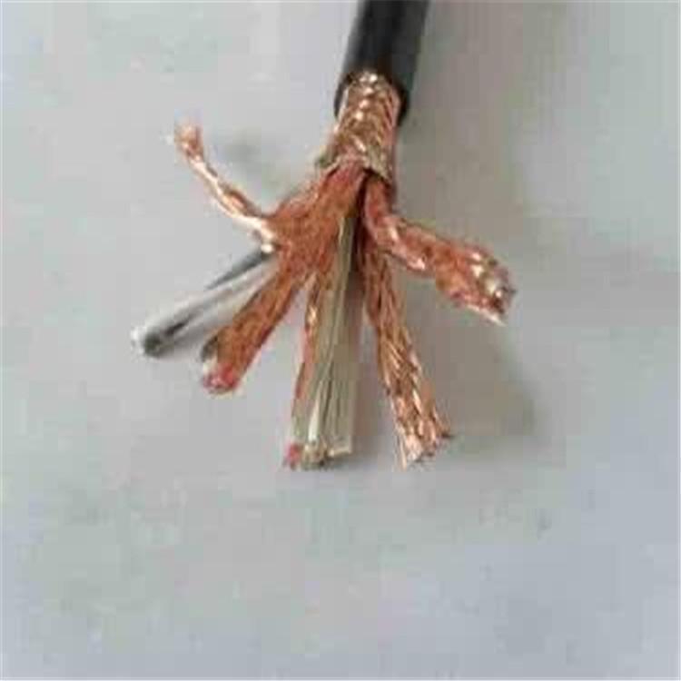阻燃屏蔽计算机电缆ZR-DJYPVP-0.3/0.5KV-2*2*1.0