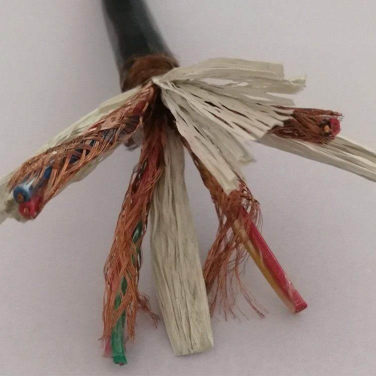 聚氯乙烯护套电子计算机线缆DJYP2V22 DJYPVP22多种规格和型号