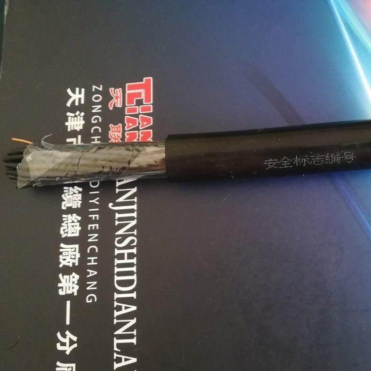 信号线RVVP2*1.0 全塑控制电缆KVVP 4*1.5 8*1.0