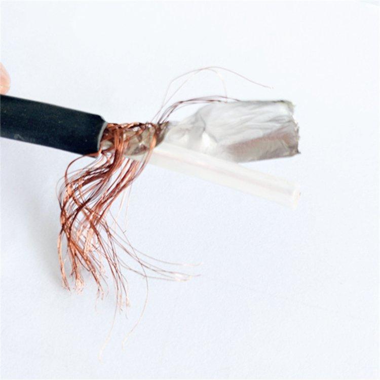 6*2*0.75 电子计算机信号电缆DJVPVR 多芯电缆