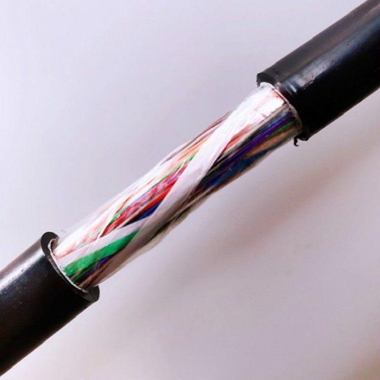 HPVV 50*2*0.5 HJVV-52×2×0.5㎜局用通信电缆 30×2×0.6