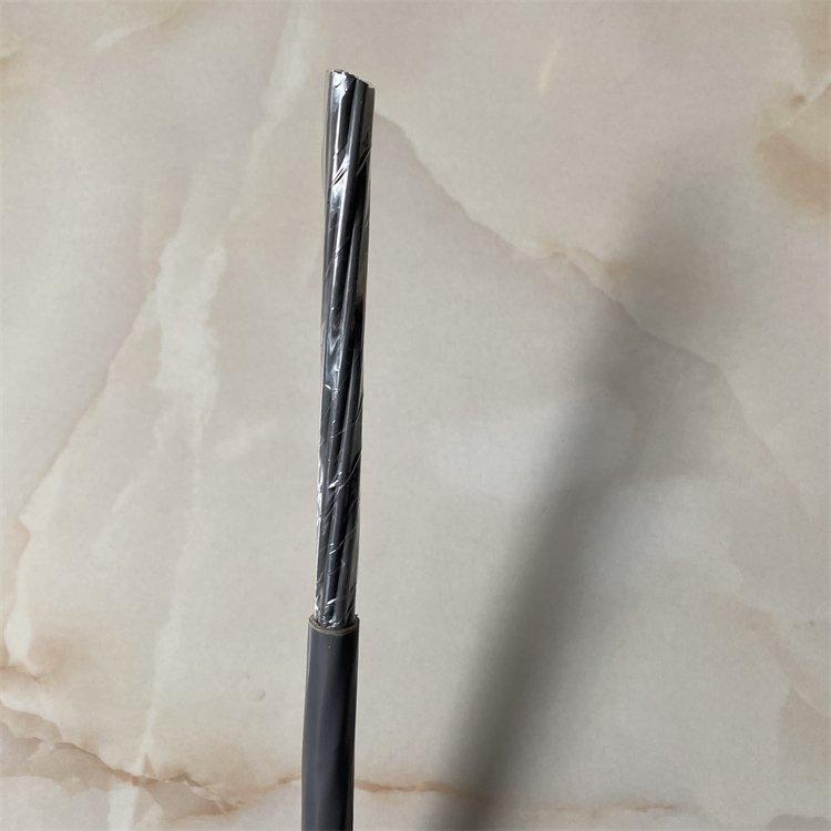 ZRC-HYA53铠装通信电缆 400*2*0.5 HYA-30×2×0.6 10×2×0.6