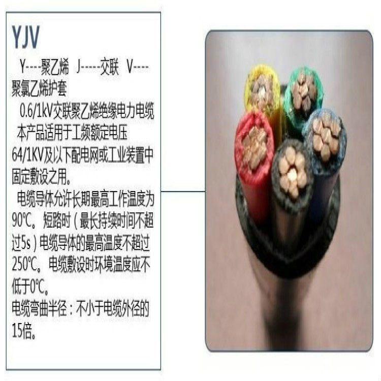 RS485-22-2*0.2信号电缆 ZA-RVV阻燃软电缆16平