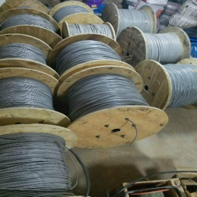 2芯 GSKJ-HRPVSP-GW耐高温双绞线 市话通信电缆HPVV-40*2*0.5