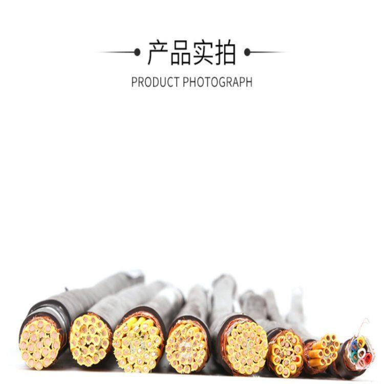 DJYP2VP2阻燃计算机电缆 充油通信电缆HYAT 10*2*0.6