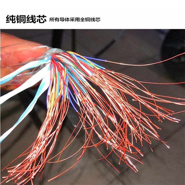 高温计算机电缆 ZR-DJFPVP22 规格齐全 耐高温阻燃电缆