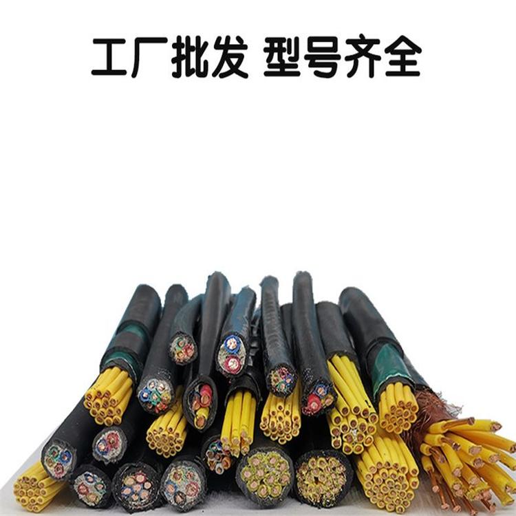 ZR-XV阻燃低温电缆XV 2X16国标耐寒国标用电力电缆