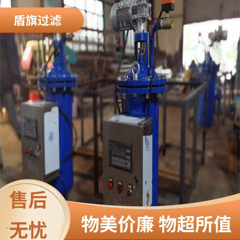 盾旗过滤 规模生产 多芯式自清洗过滤器 自动排污 厂家直供