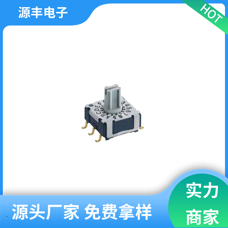 源丰电子 拨码开关 灵活的功率变换方式 支持定制定做