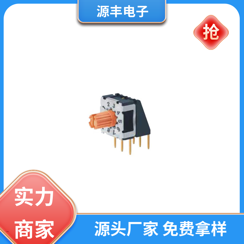 测试仪器 地址开关 高性能 支持定制定做 源丰电子
