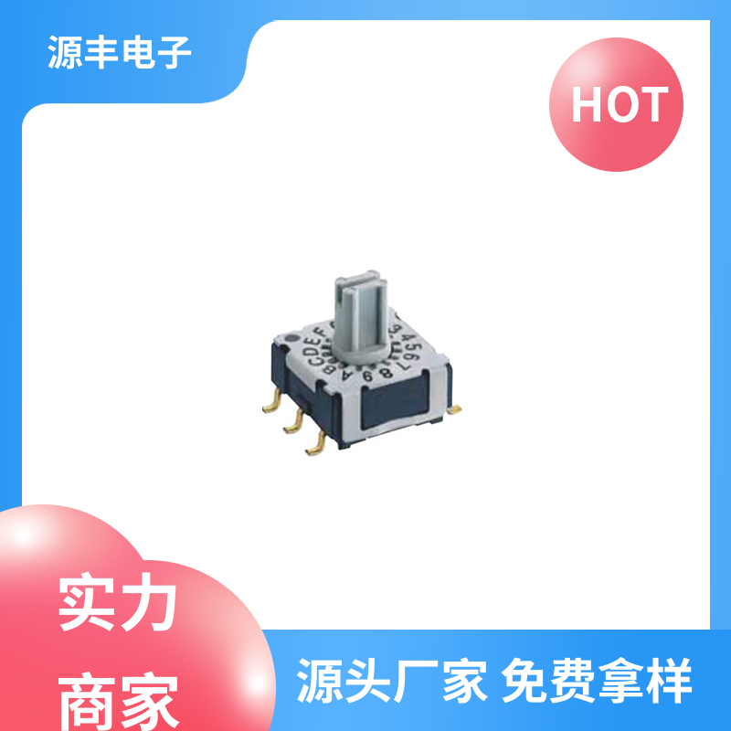 遥控器 拨拉开关 灵活的功率变换方式 支持定制定做 源丰电子