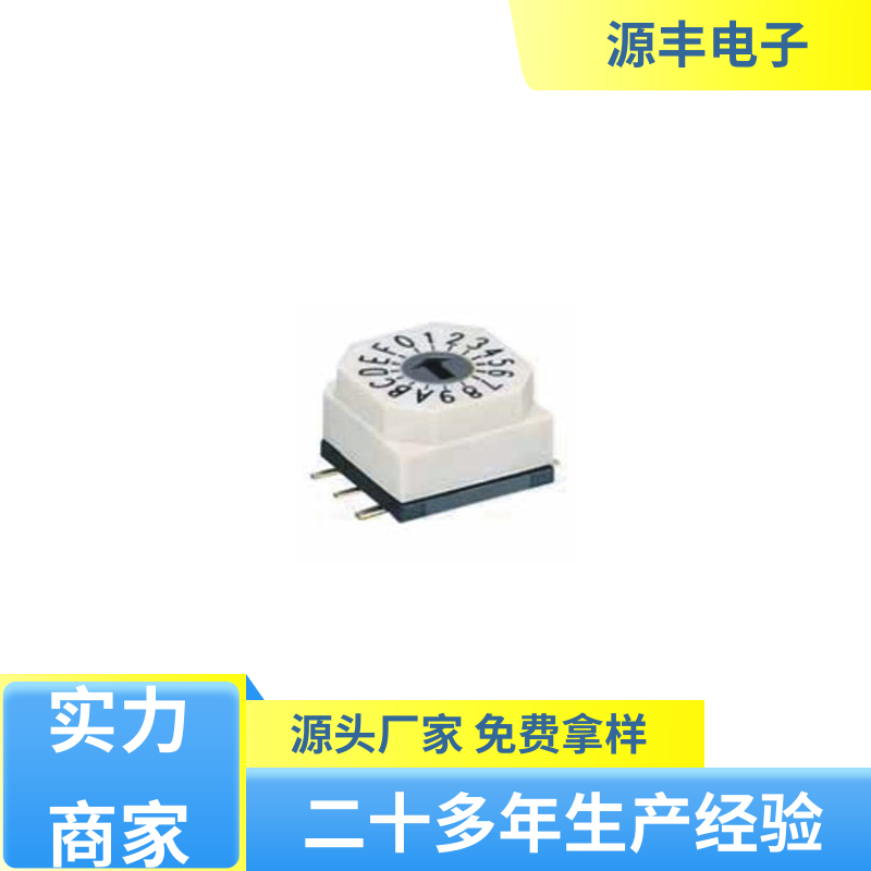 源丰电子 DIP开关 灵活的功率变换方式 支持定制定做