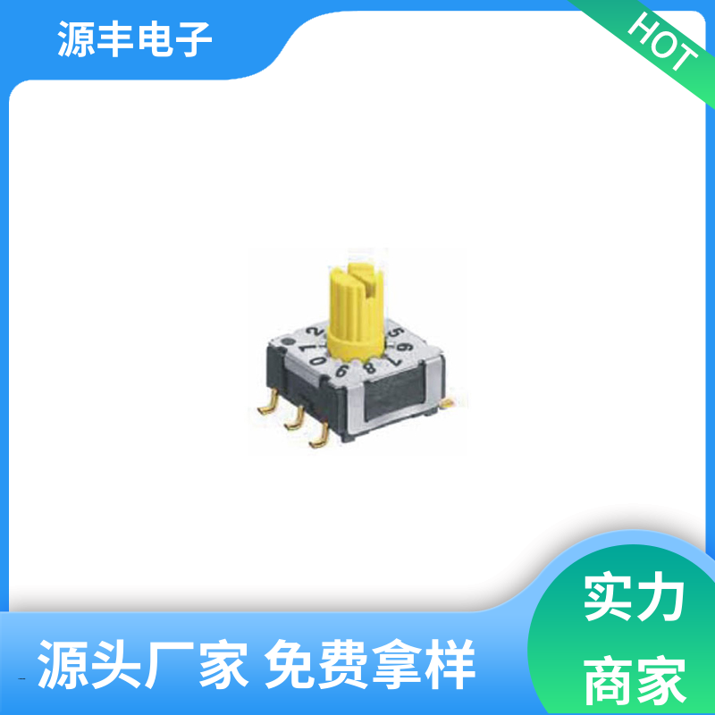 数码家电 拨拉开关 灵活的功率变换方式 多型号满足您的需求 源丰电子