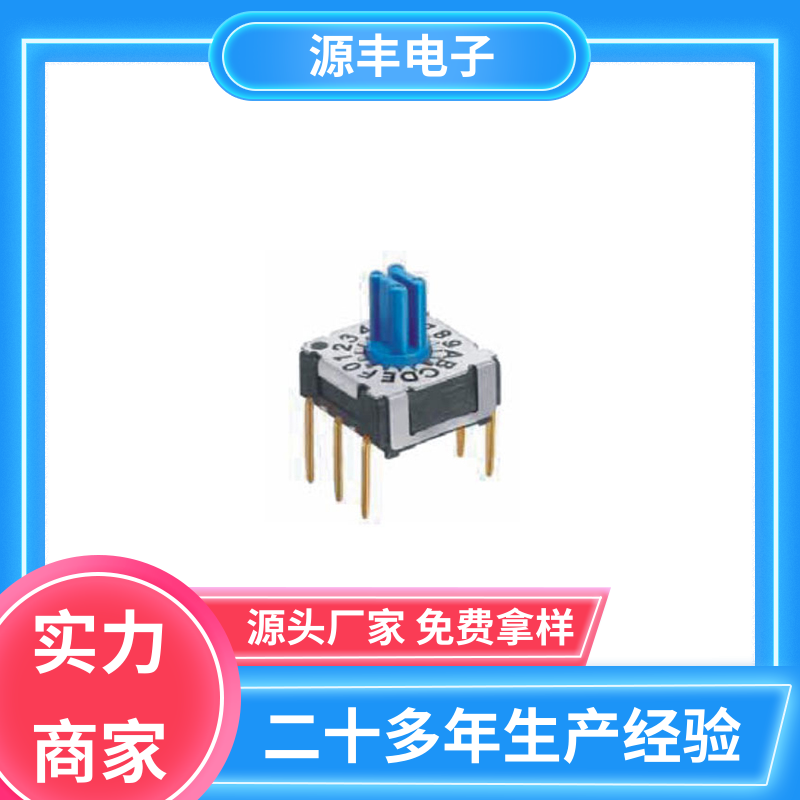 楼宇自动化 拨码开关 使用领域广 多型号满足您的需求 源丰电子