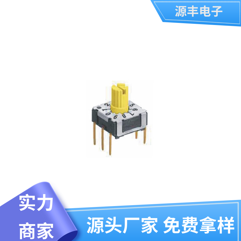 源丰电子 地址开关 灵活的功率变换方式 多型号满足您的需求