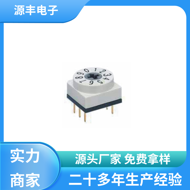 源丰电子 拨拉开关 灵活的功率变换方式 多型号满足您的需求