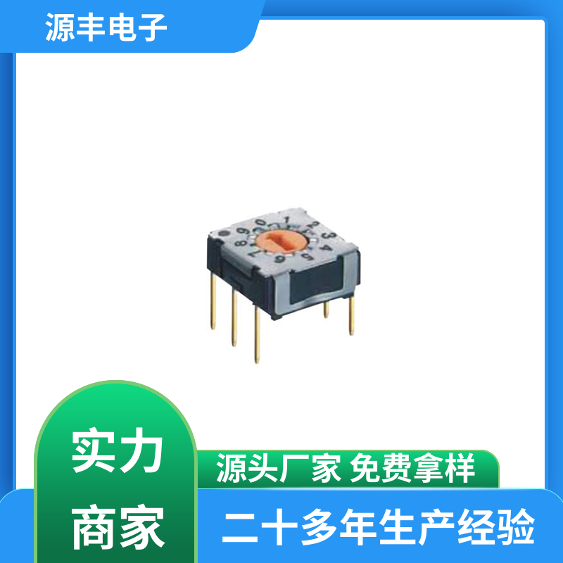 源丰电子 测试仪器 DIP开关 高功率密度等优势 支持定制定做