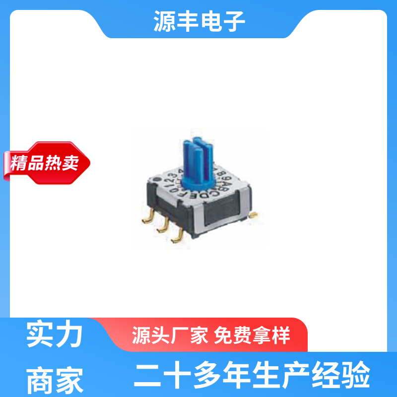 源丰电子 地址开关 使用领域广 多型号满足您的需求