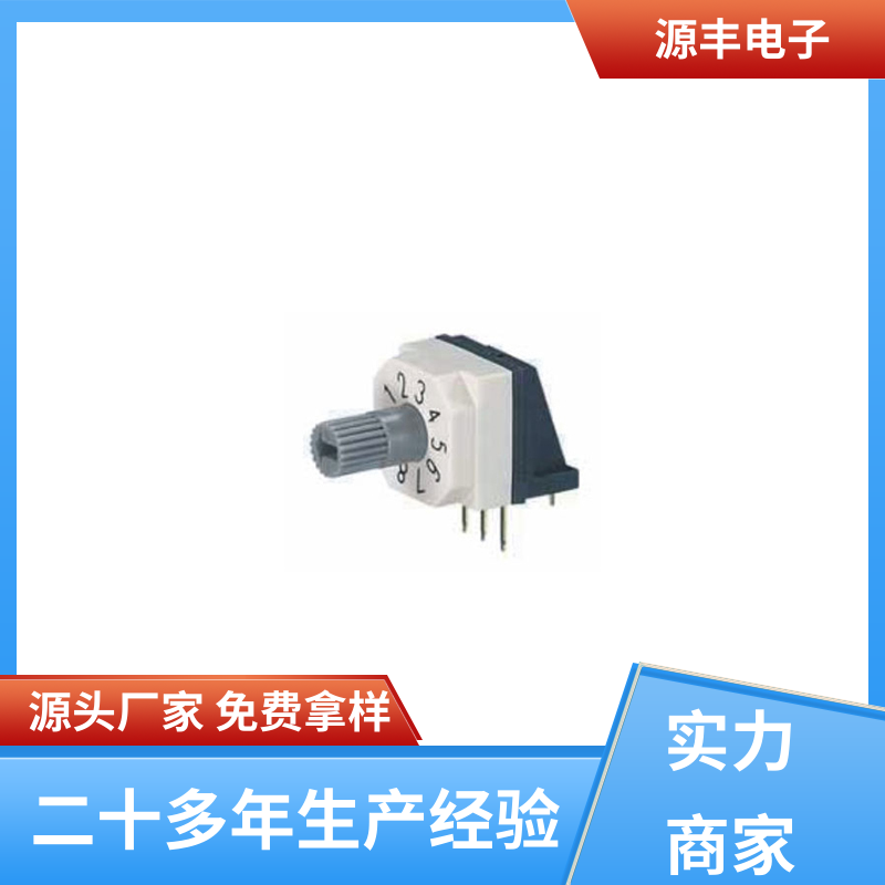 源丰电子 楼宇自动化 DIP开关 多型号满足您的需求