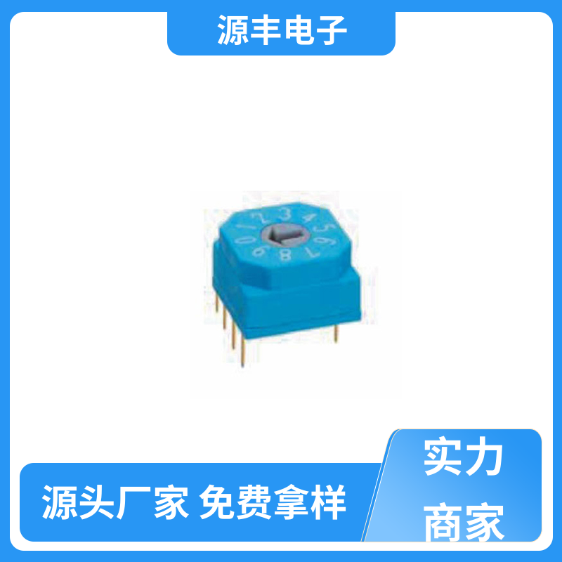 源丰电子 测试仪器 拨码开关 灵活的功率变换方式 多型号满足您的需求